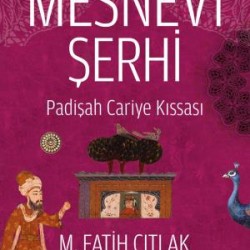 Mesnevî Şerhi