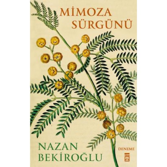 Mimoza Sürgünü Mimoza Sürgünü