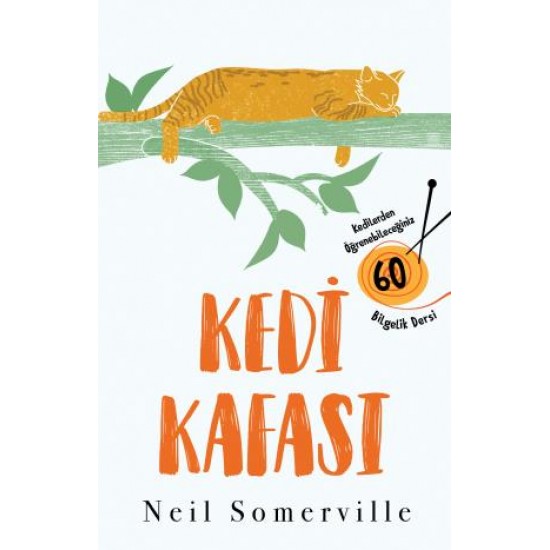 Kedi Kafası Kedi Kafası
